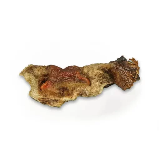 Museau de Bœuf avec poils – Image 2