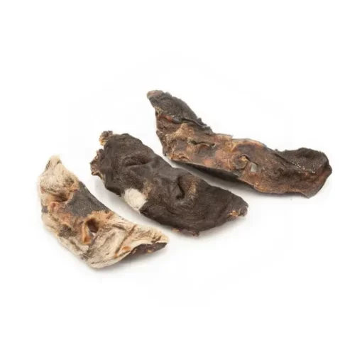 Museau de Bœuf avec poils – Image 3
