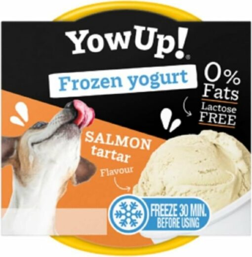 Yaourt glacé pour chien Yow Up ! tartare de saumon