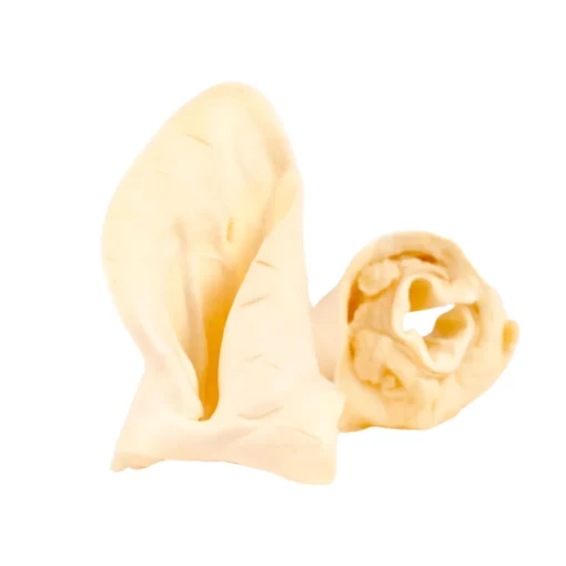 Oreille Bœuf soufflé