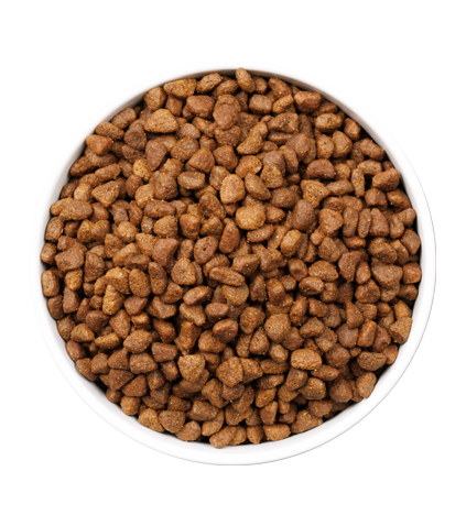 ULTRA OWNAT - Poisson - AGEING FISH (+12 ans) - 3 kg – Image 4