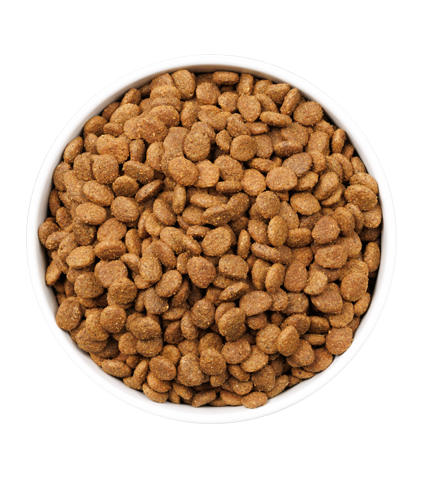 ULTRA OWNAT - Poulet & Dinde - YOUNG STERILIZED (1 à 6 ans) - 3 kg – Image 4