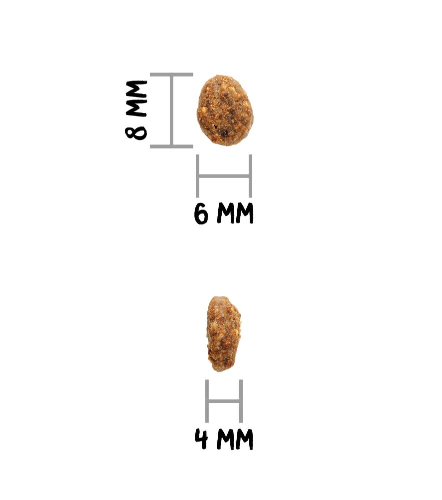 OWNAT AUTHOR GF STERILIZED FRESH CHICKEN - Chat – Image 5