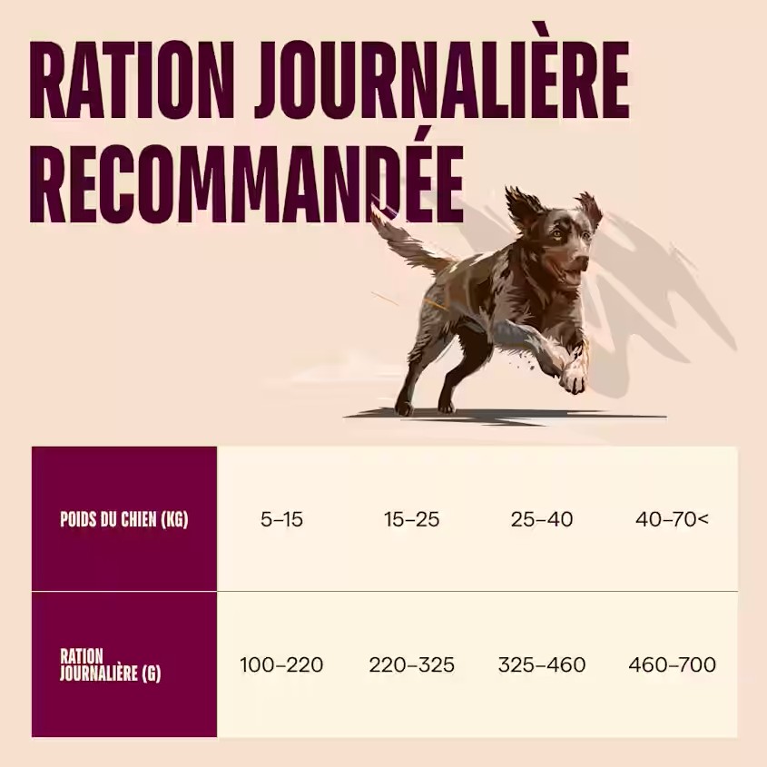 Croquettes ACTIVE Chien adulte - Saumon et dinde - 12kg – Image 9
