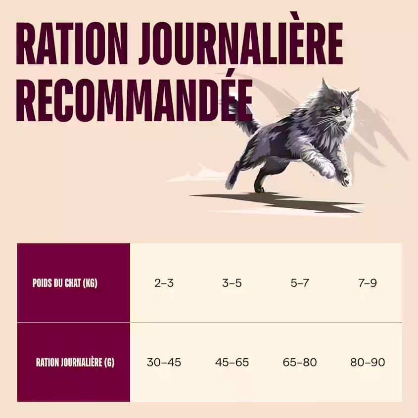 Croquettes ACTIVE Chat stérilisé - Agneau et sanglier – Image 8