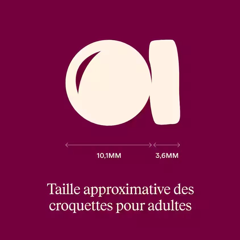 Croquettes ACTIVE Chat stérilisé - Agneau et sanglier – Image 7