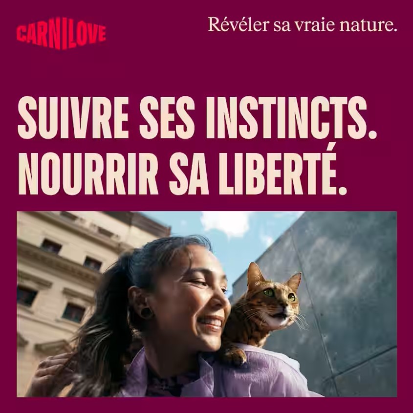 Croquettes ACTIVE Chat stérilisé - Agneau et sanglier – Image 9