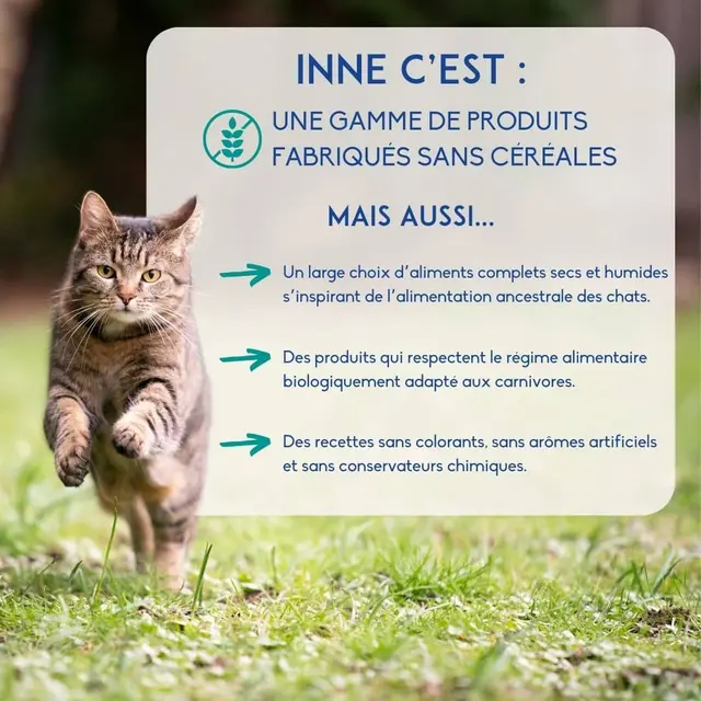 INNE pet food - Chaton Poulet - Grain Free - Nutrivet – Image 5